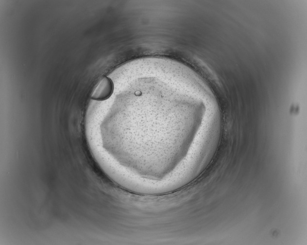 X0000094070026200711091202