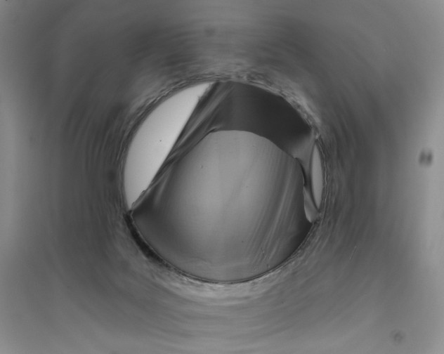 X0000094070027200711091202