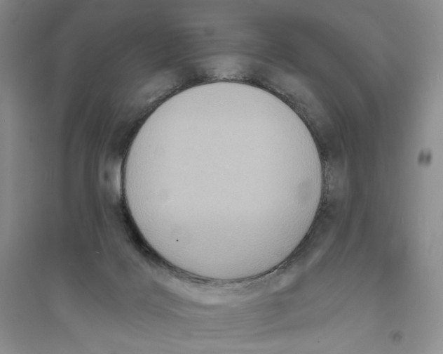 X0000094070028200711091202