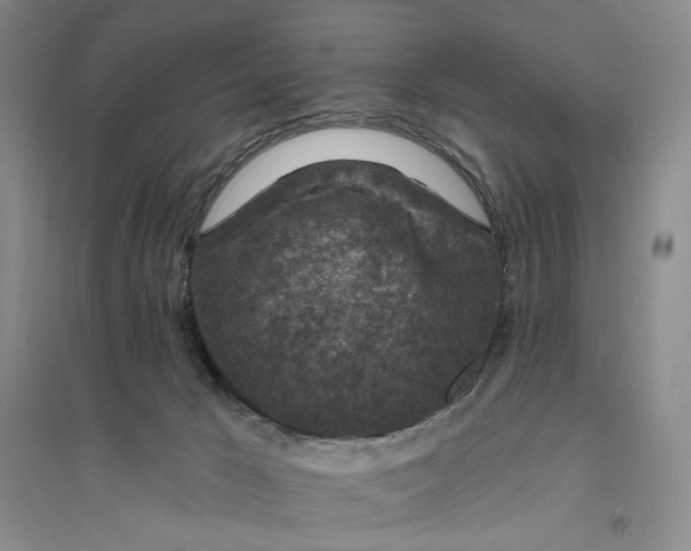 X0000094070029200711091202