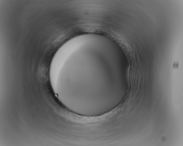 X0000094070031200711091202