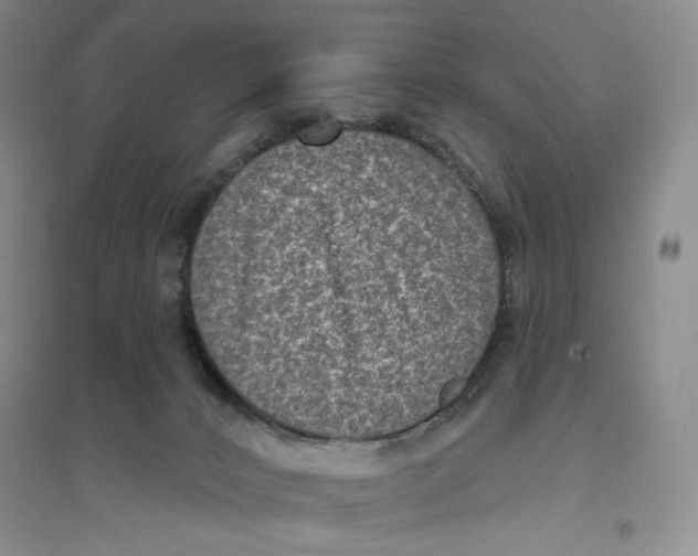 X0000094070032200711091202