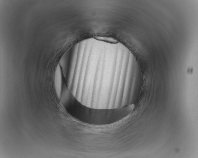 X0000094070033200711091202