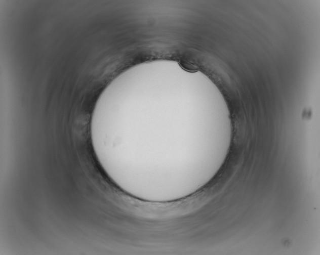 X0000094070034200711091202
