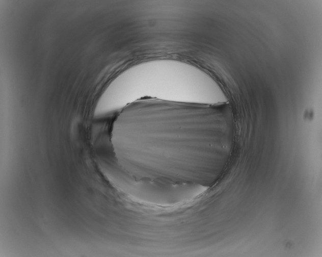 X0000094070035200711091202