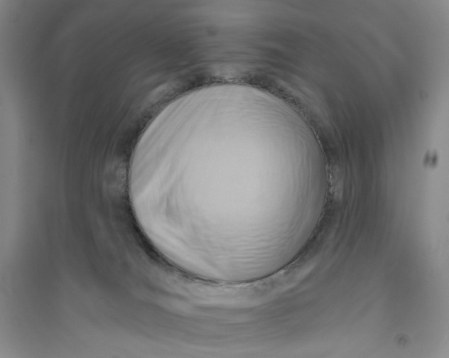 X0000094070036200711091202