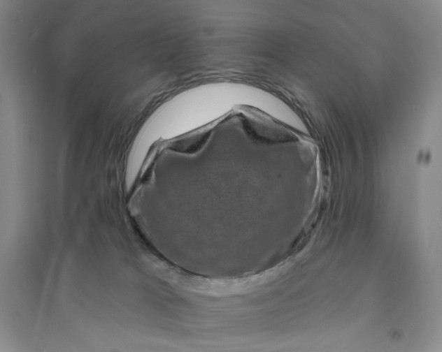 X0000094070037200711091202