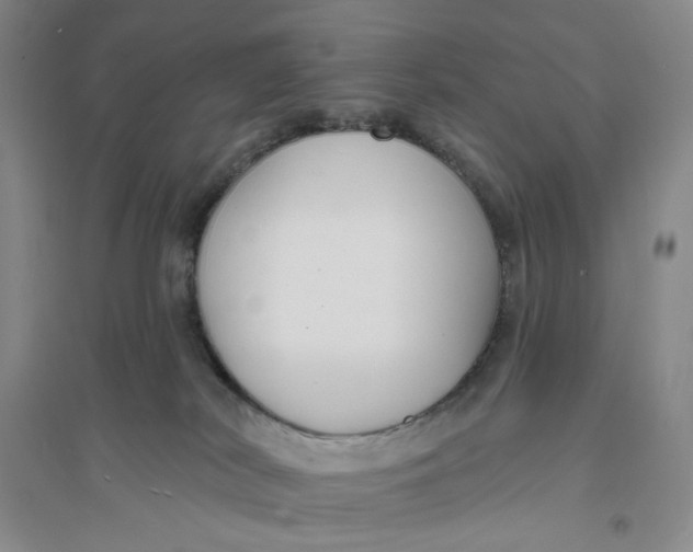 X0000094070038200711091202