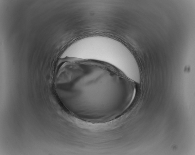 X0000094070039200711091202