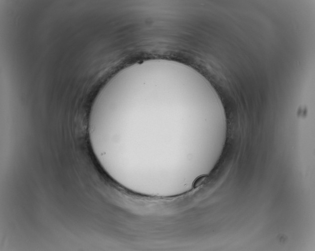X0000094070040200711091202