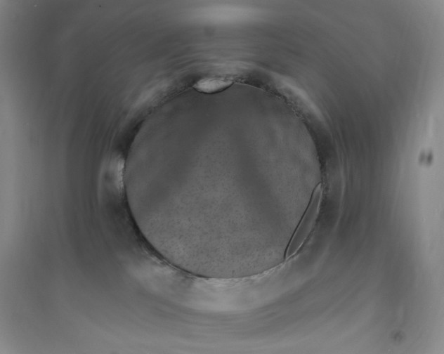 X0000094070041200711091202