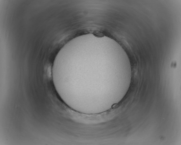 X0000094070042200711091202