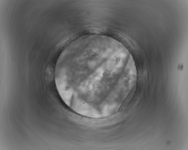 X0000094070043200711091202