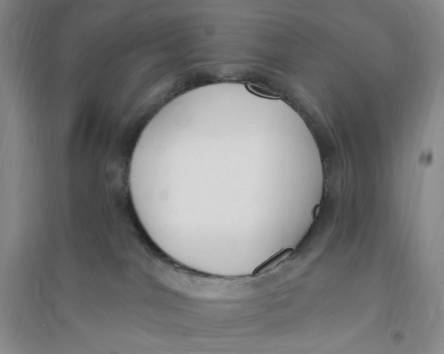 X0000094070044200711091202