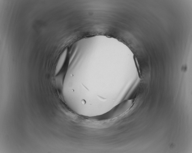 X0000094070045200711091202