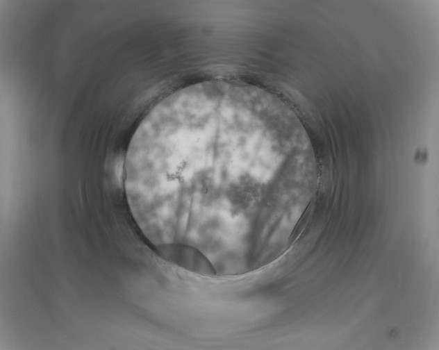 X0000094070047200711091202