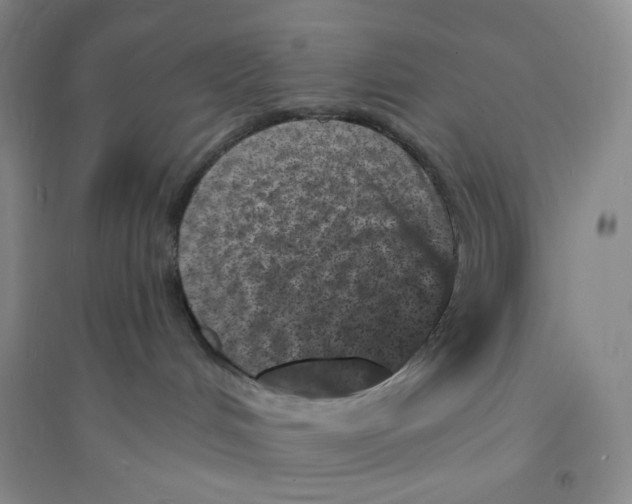 X0000094070048200711091202
