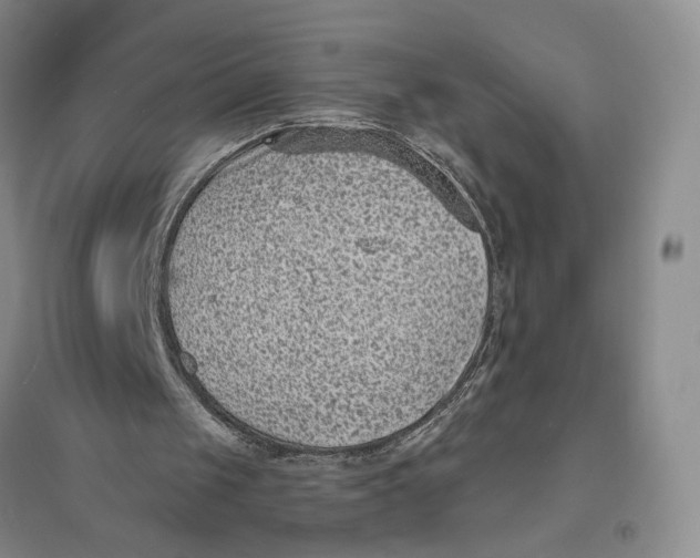 X0000094070049200711091201