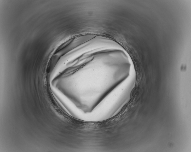 X0000094070050200711091201