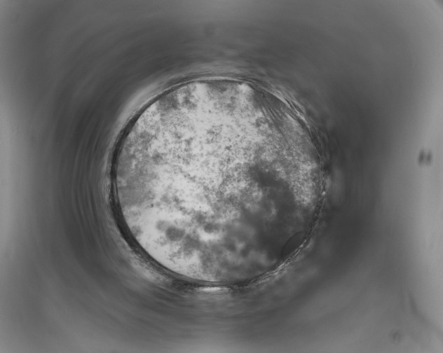 X0000094070053200711091201