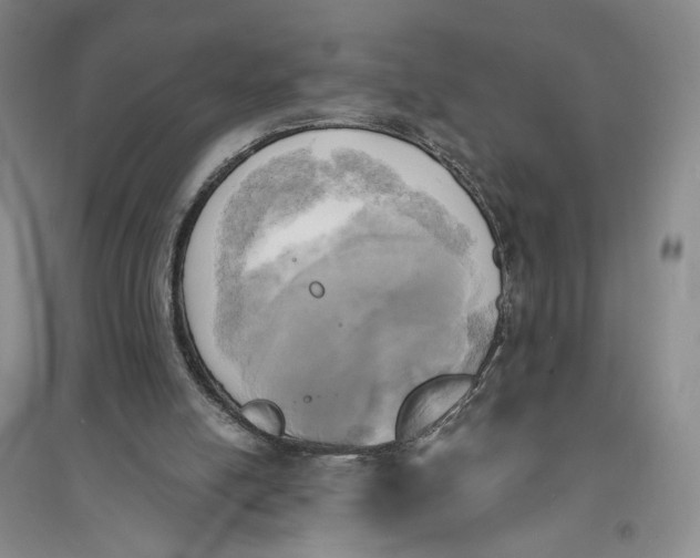 X0000094070054200711091201