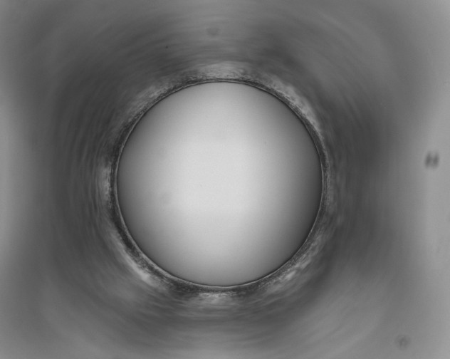 X0000094070057200711091202