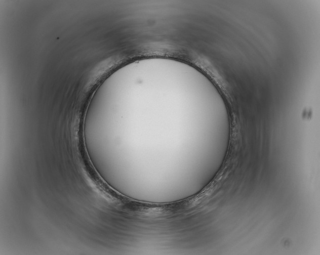 X0000094070058200711091202