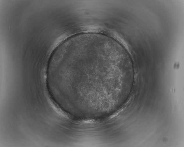 X0000094070059200711091202
