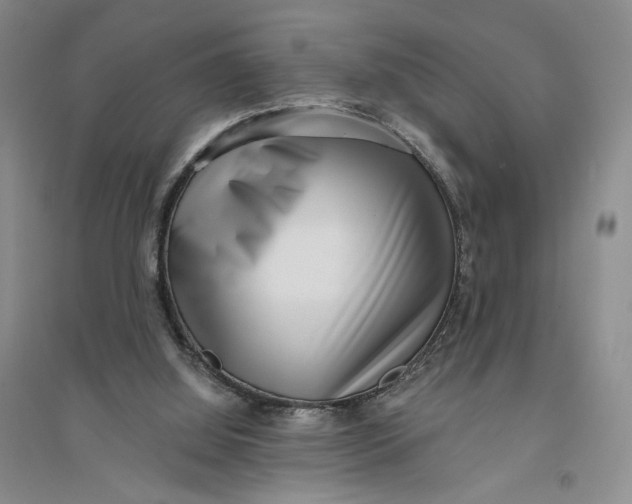 X0000094070060200711091202
