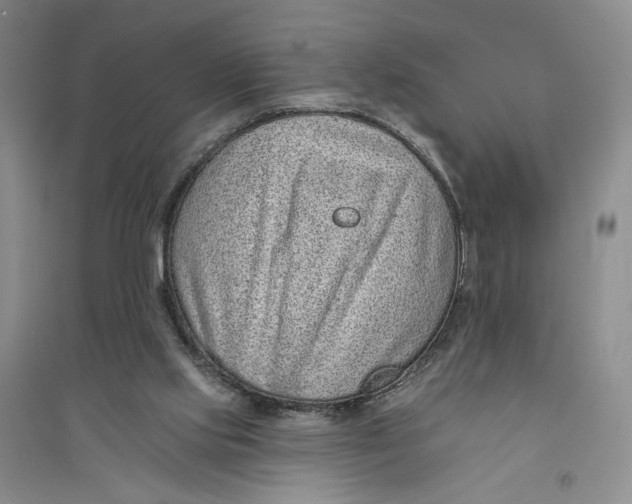 X0000094070061200711091202