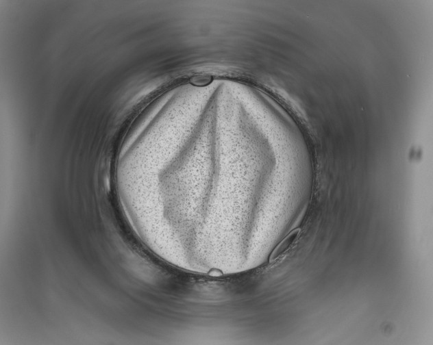 X0000094070062200711091202