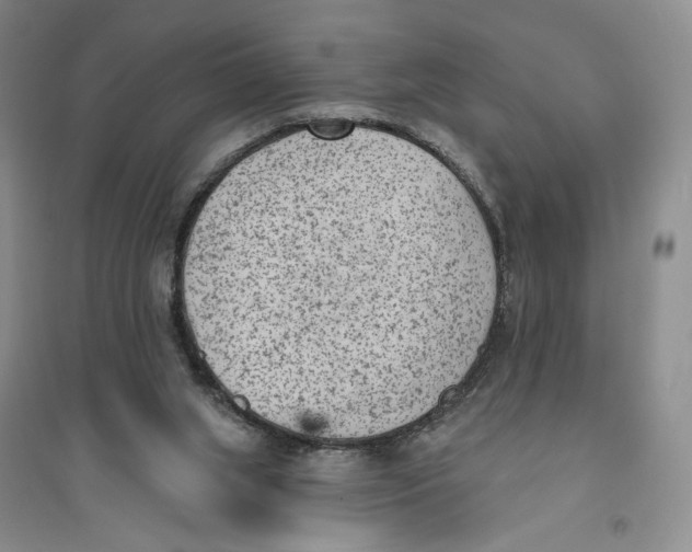 X0000094070063200711091202