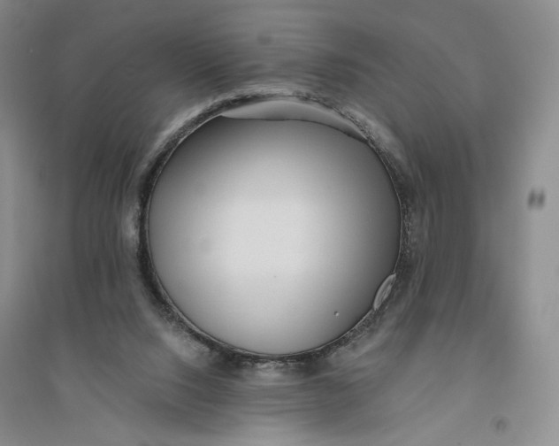 X0000094070064200711091202