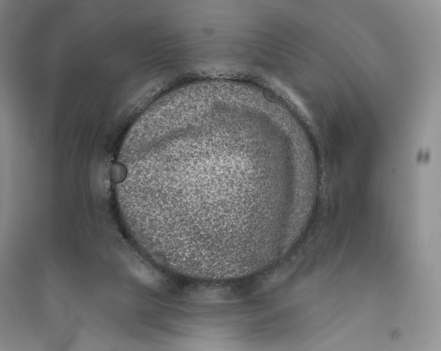 X0000094070065200711091202