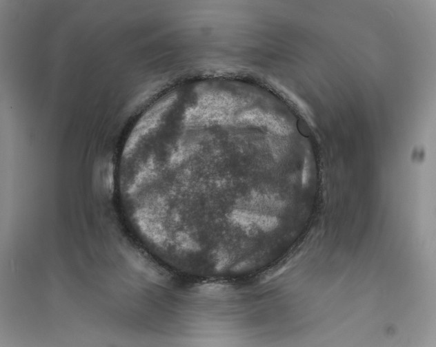 X0000094070067200711091202