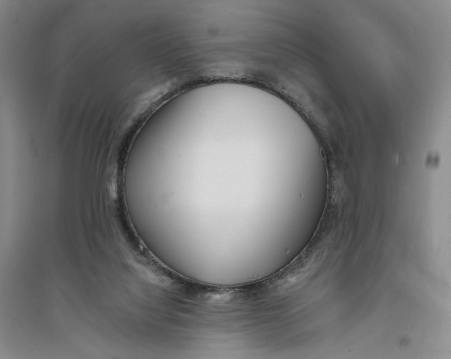 X0000094070068200711091202