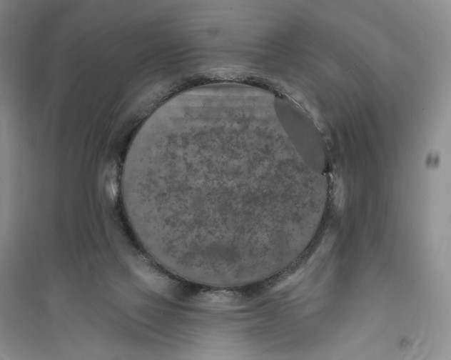 X0000094070069200711091202