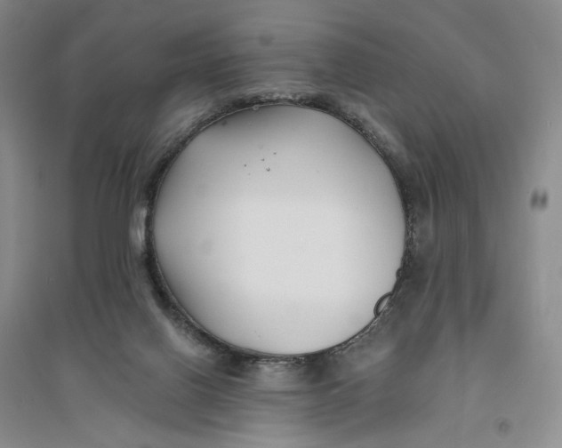 X0000094070070200711091202