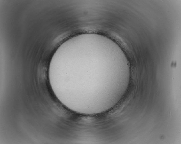 X0000094070071200711091202