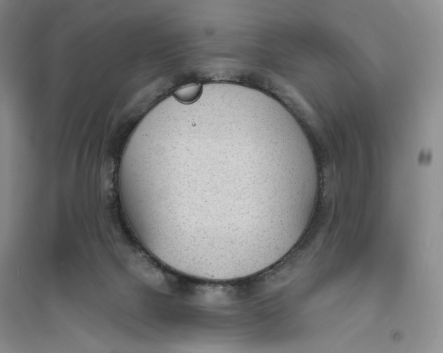 X0000094070073200711091202