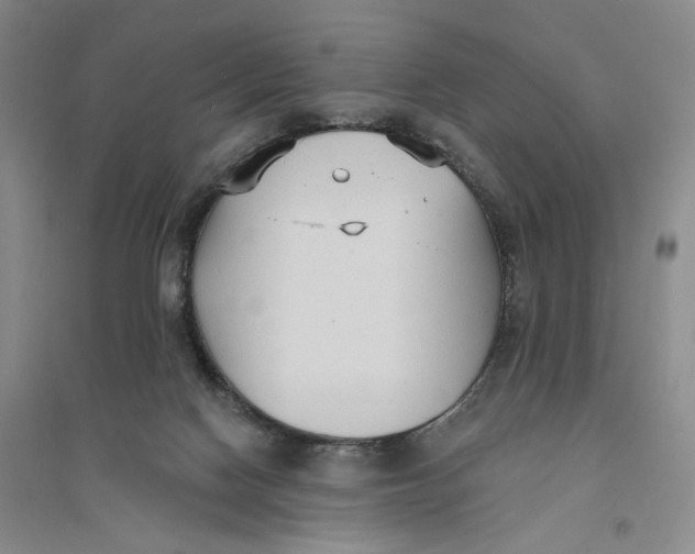 X0000094070074200711091202