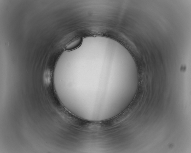 X0000094070075200711091202