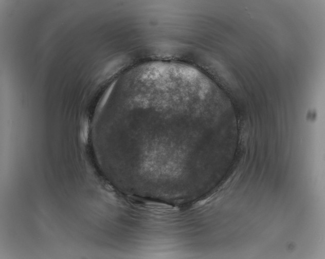 X0000094070076200711091202