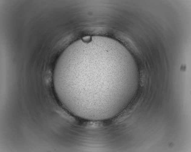 X0000094070077200711091202