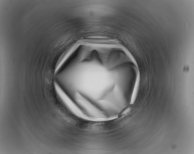 X0000094070078200711091202
