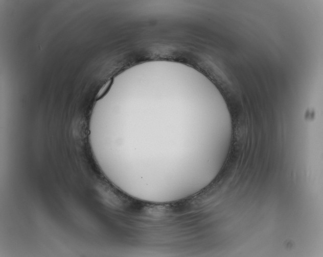 X0000094070079200711091202