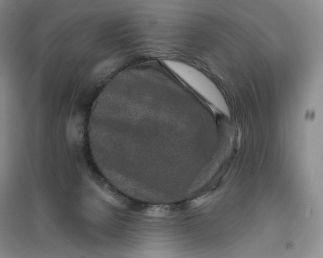 X0000094070080200711091202