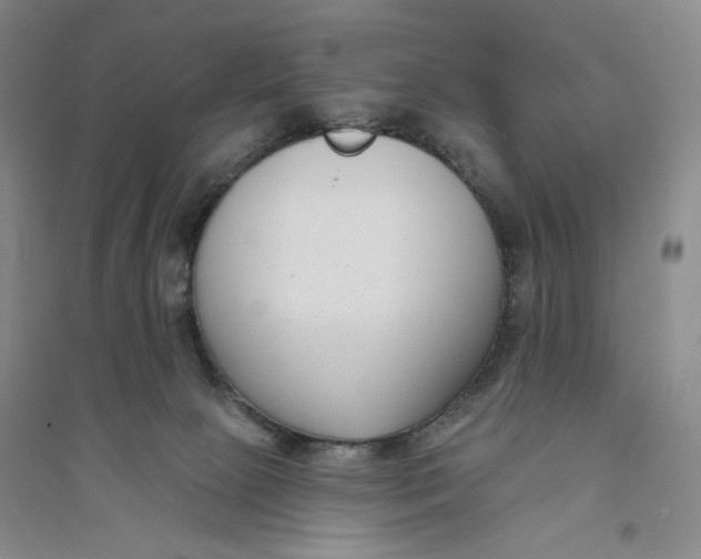 X0000094070081200711091202