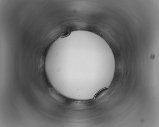 X0000094070082200711091202