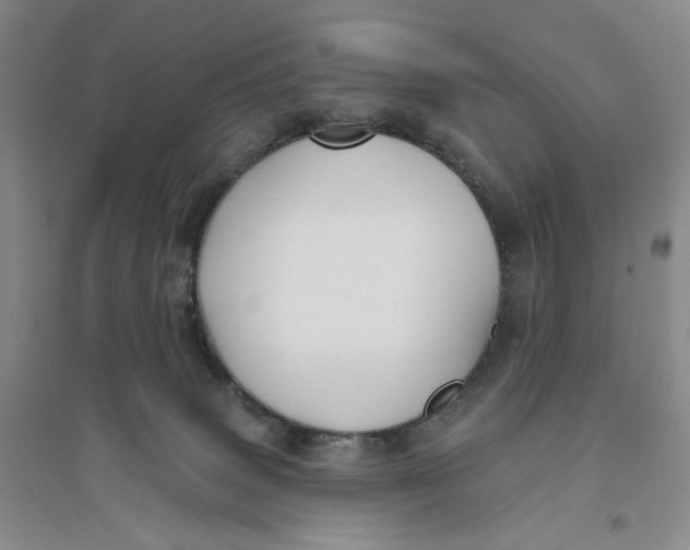 X0000094070083200711091202